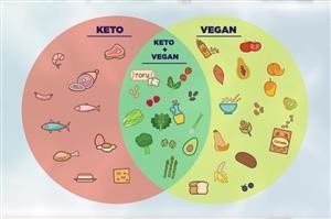 Keto Diet Plan Veg Free